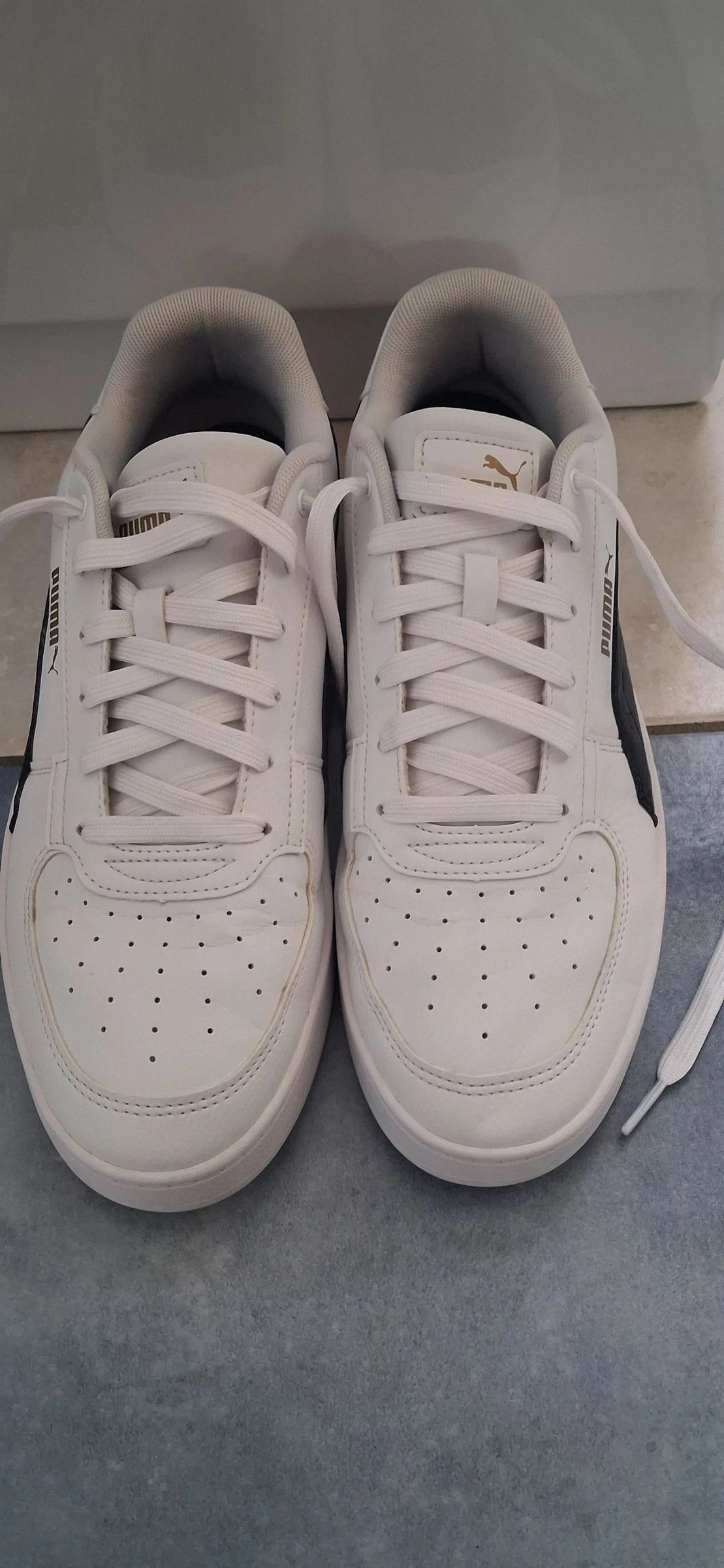 Basket puma